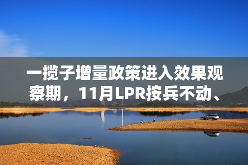 一揽子增量政策进入效果观察期，11月LPR按兵不动、年内第三次降准悬念犹存  第1张