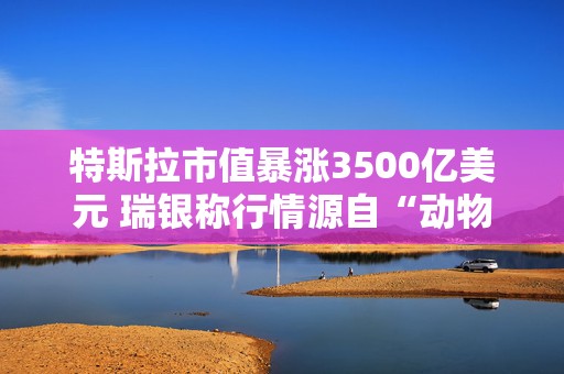 特斯拉市值暴涨3500亿美元 瑞银称行情源自“动物精神”而非基本面