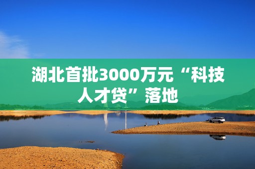 湖北首批3000万元“科技人才贷”落地