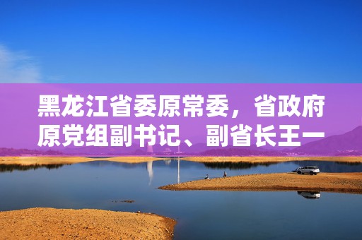 黑龙江省委原常委，省政府原党组副书记、副省长王一新被提起公诉  第1张