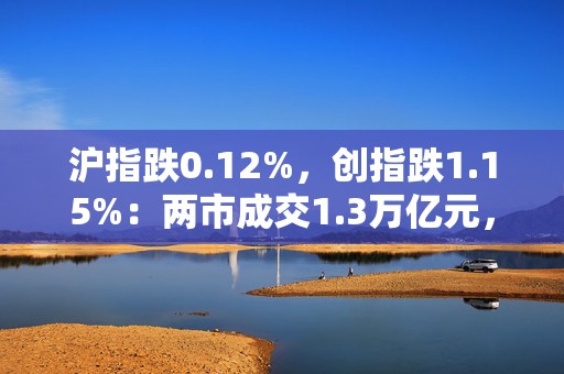 沪指跌0.12%，创指跌1.15%：两市成交1.3万亿元，大消费逆势造好  第1张