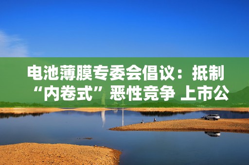 电池薄膜专委会倡议：抵制“内卷式”恶性竞争 上市公司回应  第1张