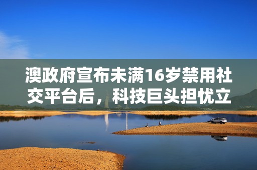 澳政府宣布未满16岁禁用社交平台后，科技巨头担忧立法仓促  第1张
