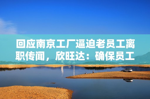 回应南京工厂逼迫老员工离职传闻，欣旺达：确保员工合法权益得到充分保障  第1张