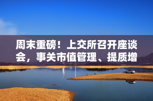 周末重磅！上交所召开座谈会，事关市值管理、提质增效  第1张