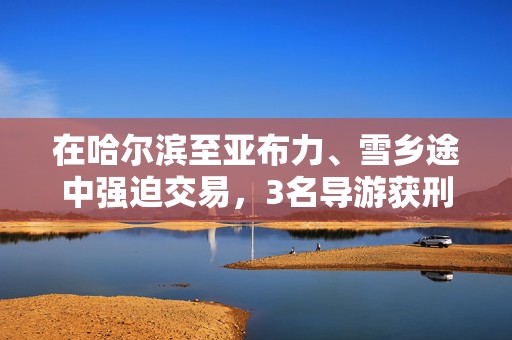 在哈尔滨至亚布力、雪乡途中强迫交易，3名导游获刑7个月  第1张