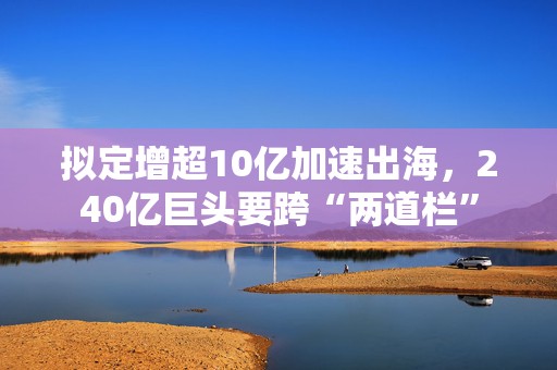 拟定增超10亿加速出海，240亿巨头要跨“两道栏”  第1张