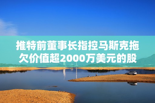 推特前董事长指控马斯克拖欠价值超2000万美元的股票  第1张