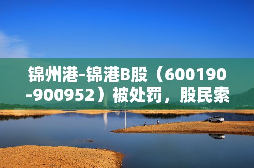 锦州港-锦港B股（600190-900952）被处罚，股民索赔可期  第1张