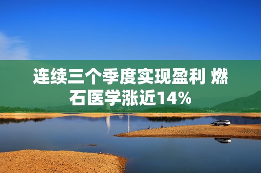 连续三个季度实现盈利 燃石医学涨近14%  第1张