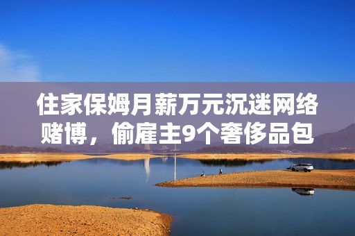 住家保姆月薪万元沉迷网络赌博，偷雇主9个奢侈品包获刑3年  第1张