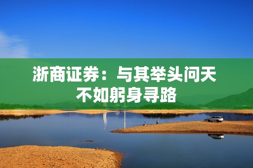浙商证券：与其举头问天 不如躬身寻路  第1张