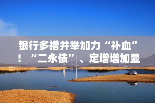 银行多措并举加力“补血”！“二永债”、定增增加显著  第1张