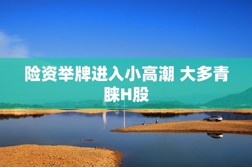 险资举牌进入小高潮 大多青睐H股  第1张