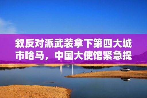 叙反对派武装拿下第四大城市哈马，中国大使馆紧急提醒中国公民尽快离境  第1张