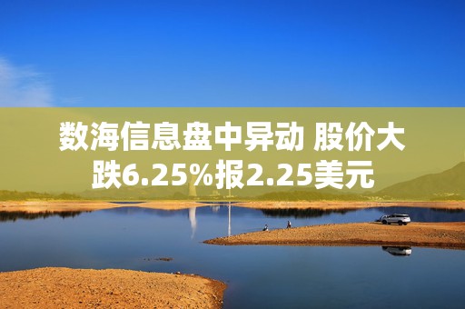 数海信息盘中异动 股价大跌6.25%报2.25美元  第1张