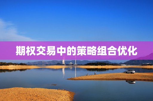 期权交易中的策略组合优化