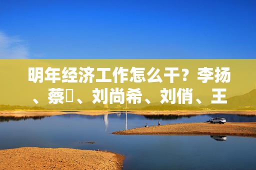 明年经济工作怎么干？李扬、蔡昉、刘尚希、刘俏、王信发声