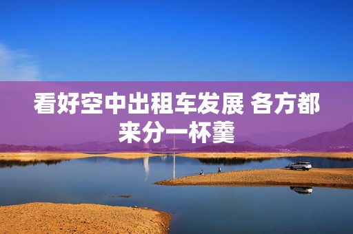看好空中出租车发展 各方都来分一杯羹  第1张