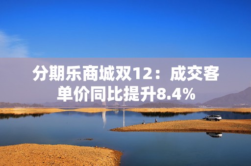 分期乐商城双12：成交客单价同比提升8.4%  第1张