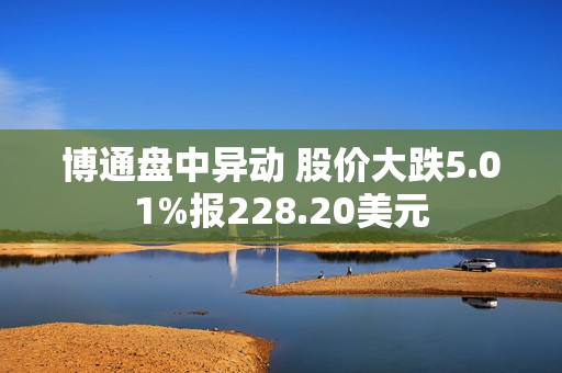 博通盘中异动 股价大跌5.01%报228.20美元  第1张