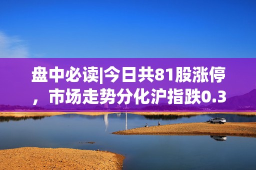 盘中必读|今日共81股涨停，市场走势分化沪指跌0.36%，算力概念全天强势  第1张
