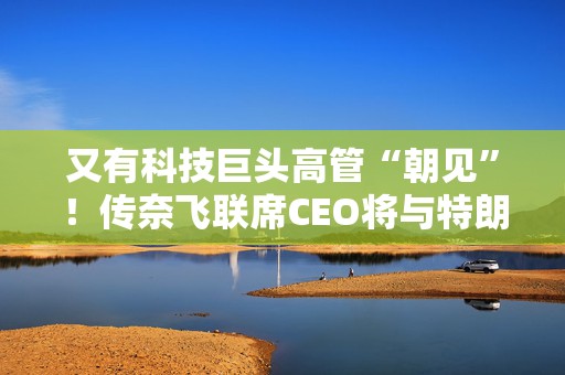 又有科技巨头高管“朝见”！传奈飞联席CEO将与特朗普会面