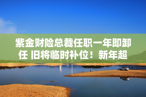 紫金财险总裁任职一年即卸任 旧将临时补位！新年超越市场如何实现？  第1张
