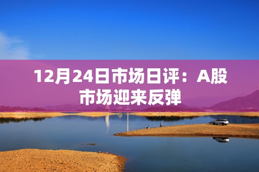 12月24日市场日评：A股市场迎来反弹  第1张