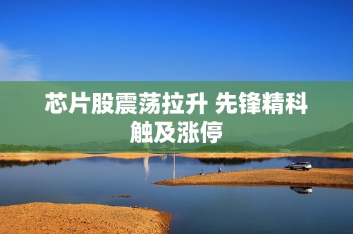 芯片股震荡拉升 先锋精科触及涨停  第1张