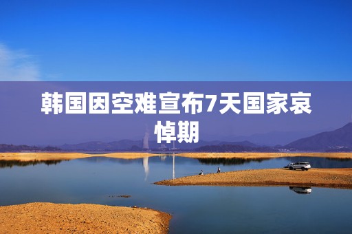 韩国因空难宣布7天国家哀悼期