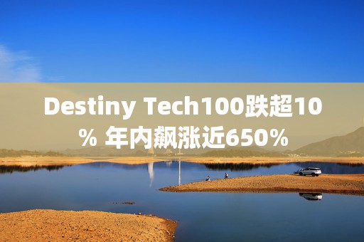 Destiny Tech100跌超10% 年内飙涨近650%