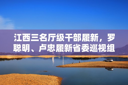 江西三名厅级干部履新，罗聪明、卢忠履新省委巡视组组长  第1张