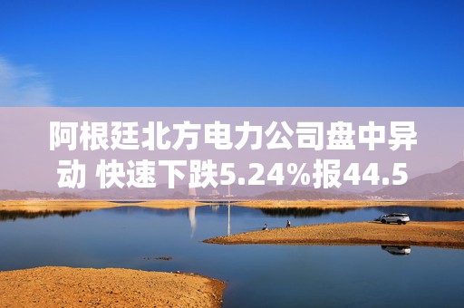 阿根廷北方电力公司盘中异动 快速下跌5.24%报44.54美元