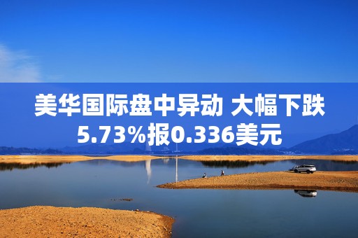 美华国际盘中异动 大幅下跌5.73%报0.336美元  第1张