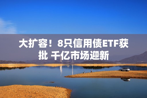 大扩容！8只信用债ETF获批 千亿市场迎新  第1张