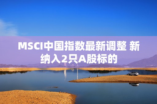 MSCI中国指数最新调整 新纳入2只A股标的