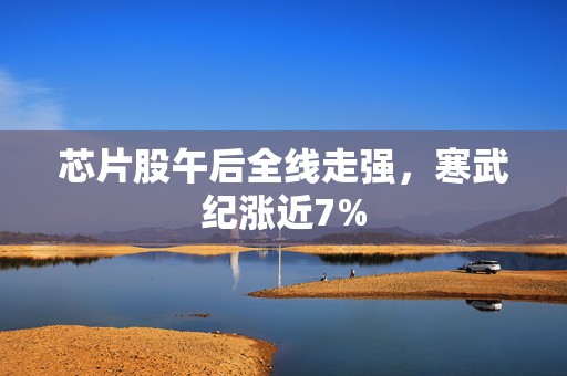 芯片股午后全线走强，寒武纪涨近7%  第1张
