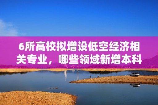 6所高校拟增设低空经济相关专业，哪些领域新增本科专业多？  第1张