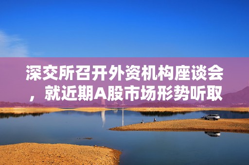 深交所召开外资机构座谈会，就近期A股市场形势听取意见建议  第1张