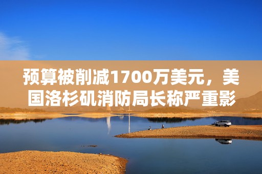预算被削减1700万美元，美国洛杉矶消防局长称严重影响灭火能力  第1张