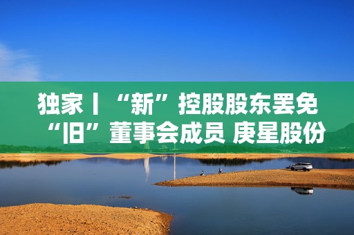 独家丨“新”控股股东罢免“旧”董事会成员 庚星股份总经理现场激辩：不符合规定  第1张
