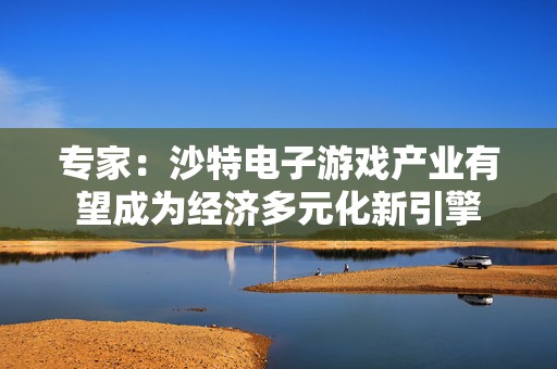专家：沙特电子游戏产业有望成为经济多元化新引擎  第1张