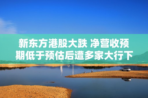 新东方港股大跌 净营收预期低于预估后遭多家大行下调评级  第1张