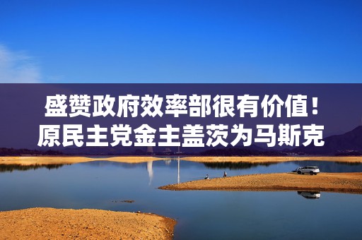 盛赞政府效率部很有价值！原民主党金主盖茨为马斯克献策