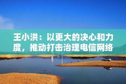王小洪：以更大的决心和力度，推动打击治理电信网络诈骗工作向纵深发展
