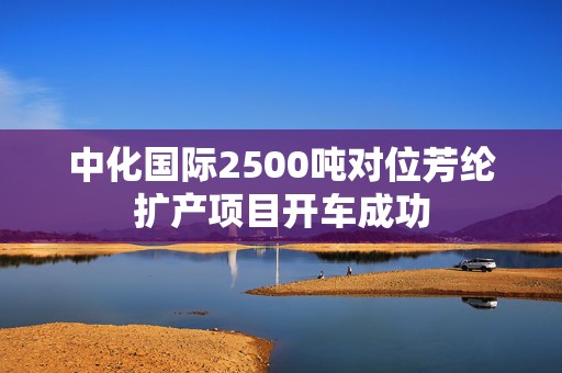 中化国际2500吨对位芳纶扩产项目开车成功  第1张