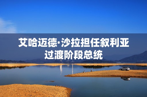 艾哈迈德·沙拉担任叙利亚过渡阶段总统