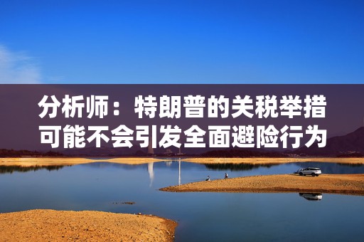 分析师：特朗普的关税举措可能不会引发全面避险行为 也不会导致标普500指数下跌10%  第1张