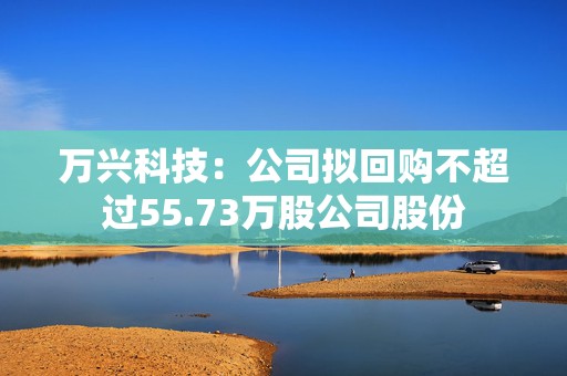 万兴科技：公司拟回购不超过55.73万股公司股份  第1张
